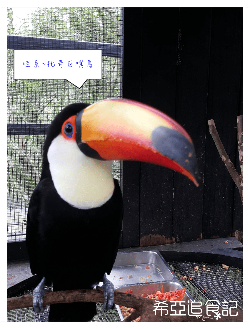 綠世界生態農場