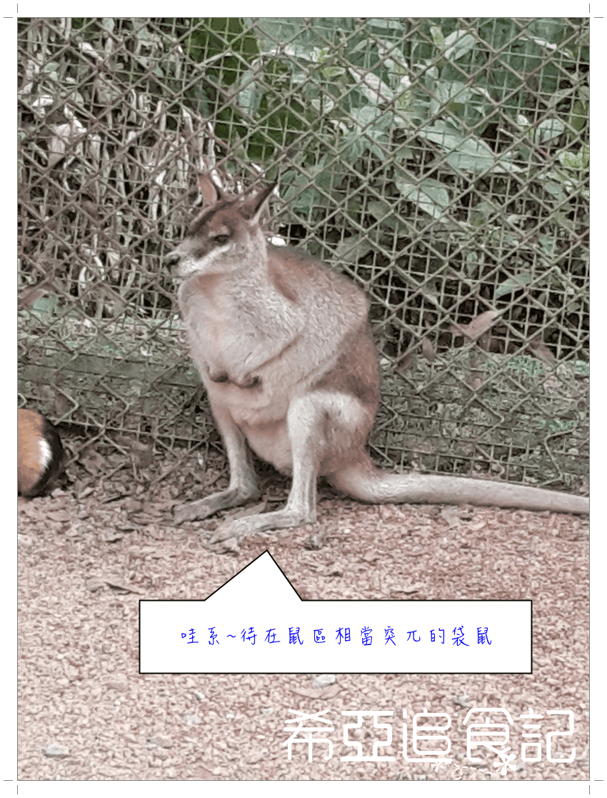 綠世界生態農場