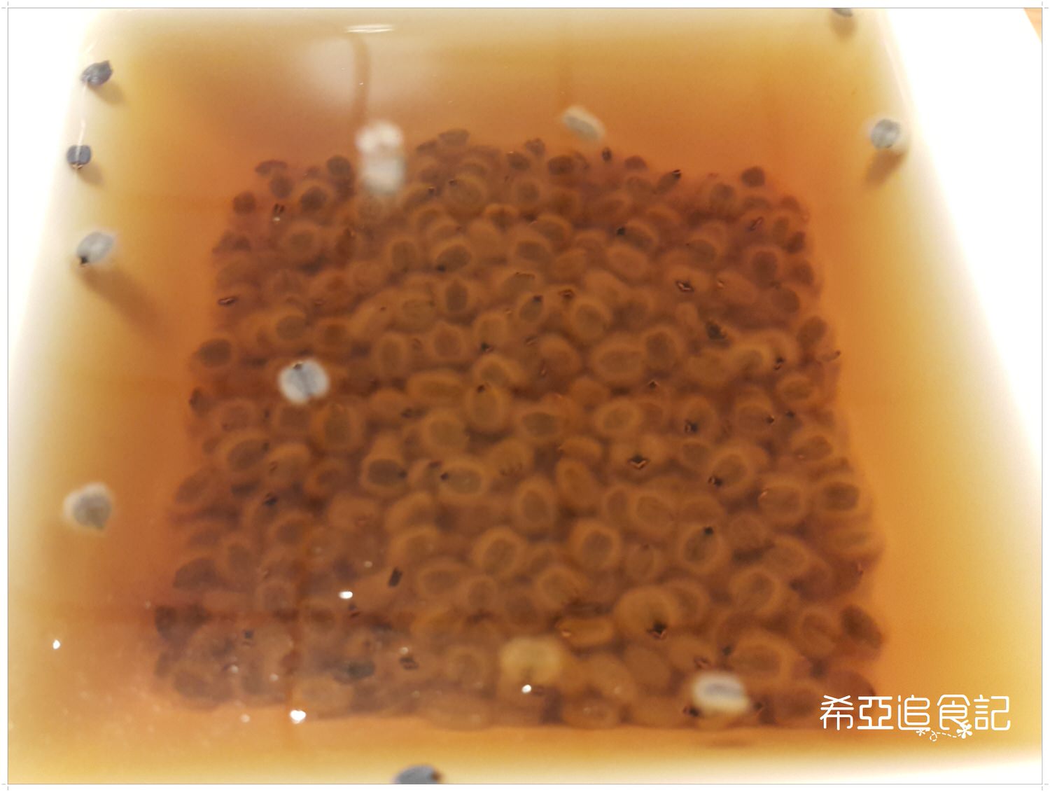 南投旅遊推薦 竹山景點 青竹文化園區