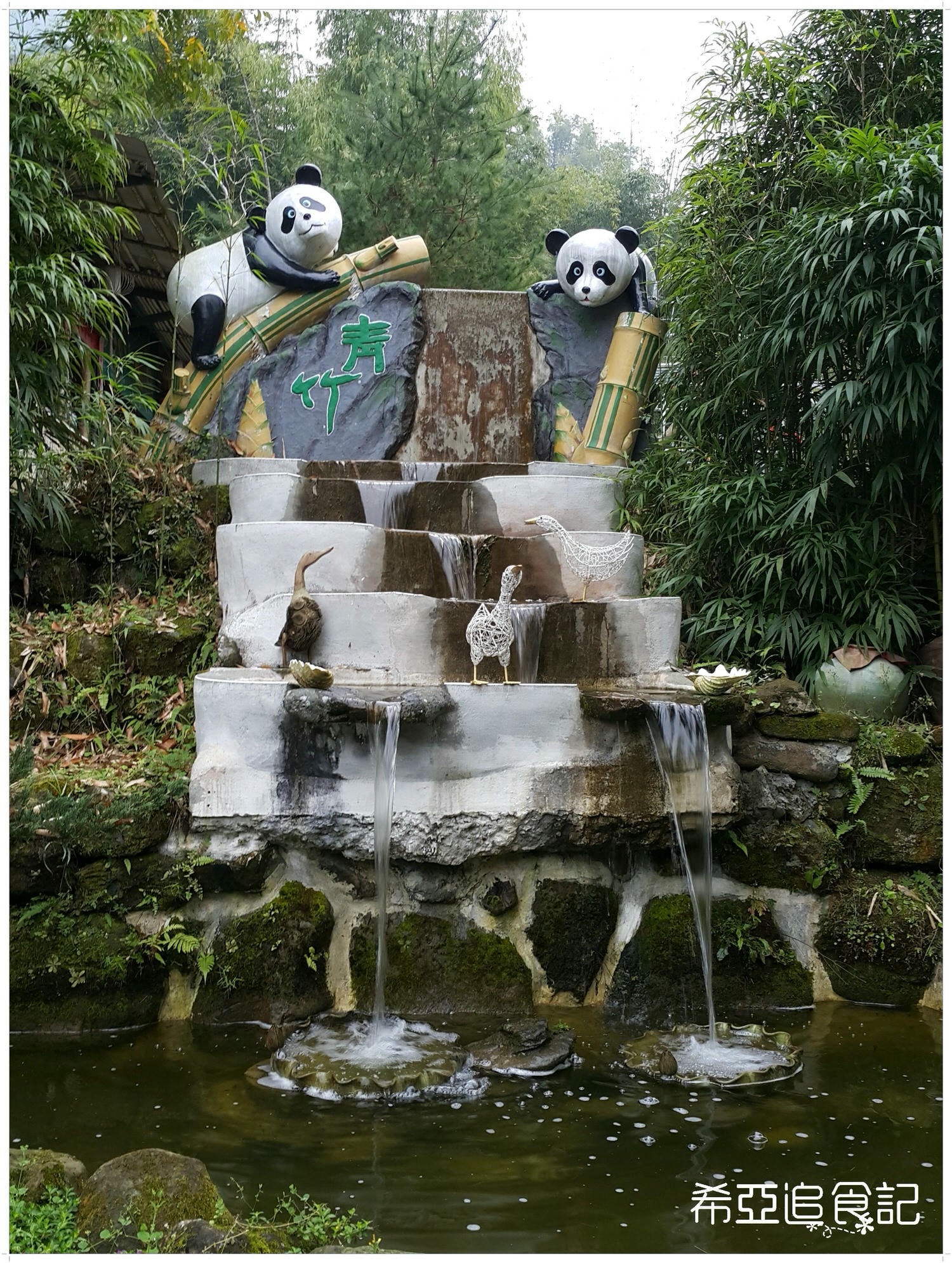 南投旅遊推薦 竹山景點 青竹文化園區