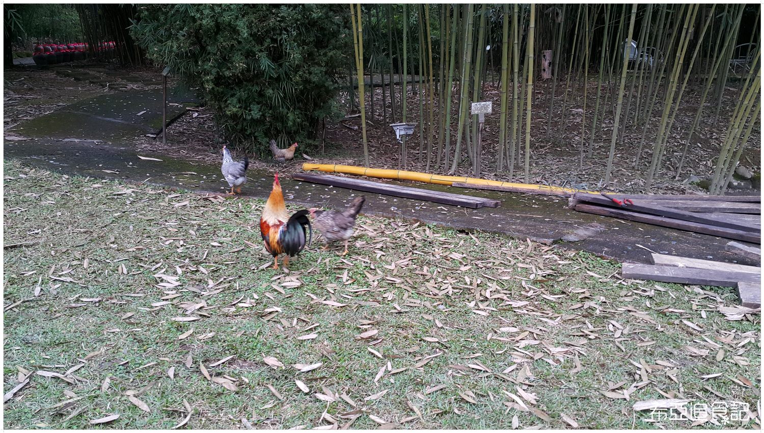 南投旅遊推薦 竹山景點 青竹文化園區