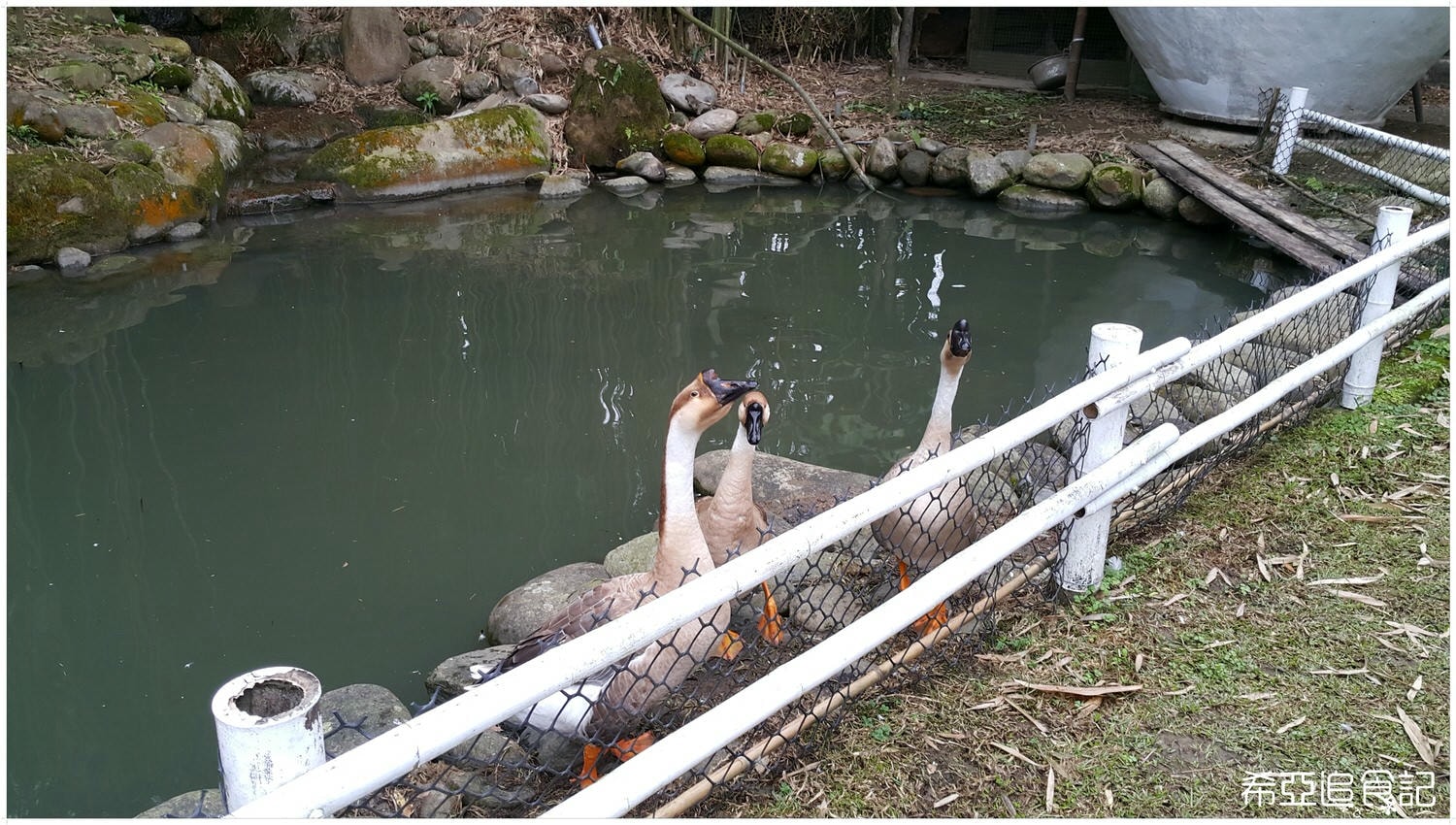 南投旅遊推薦 竹山景點 青竹文化園區