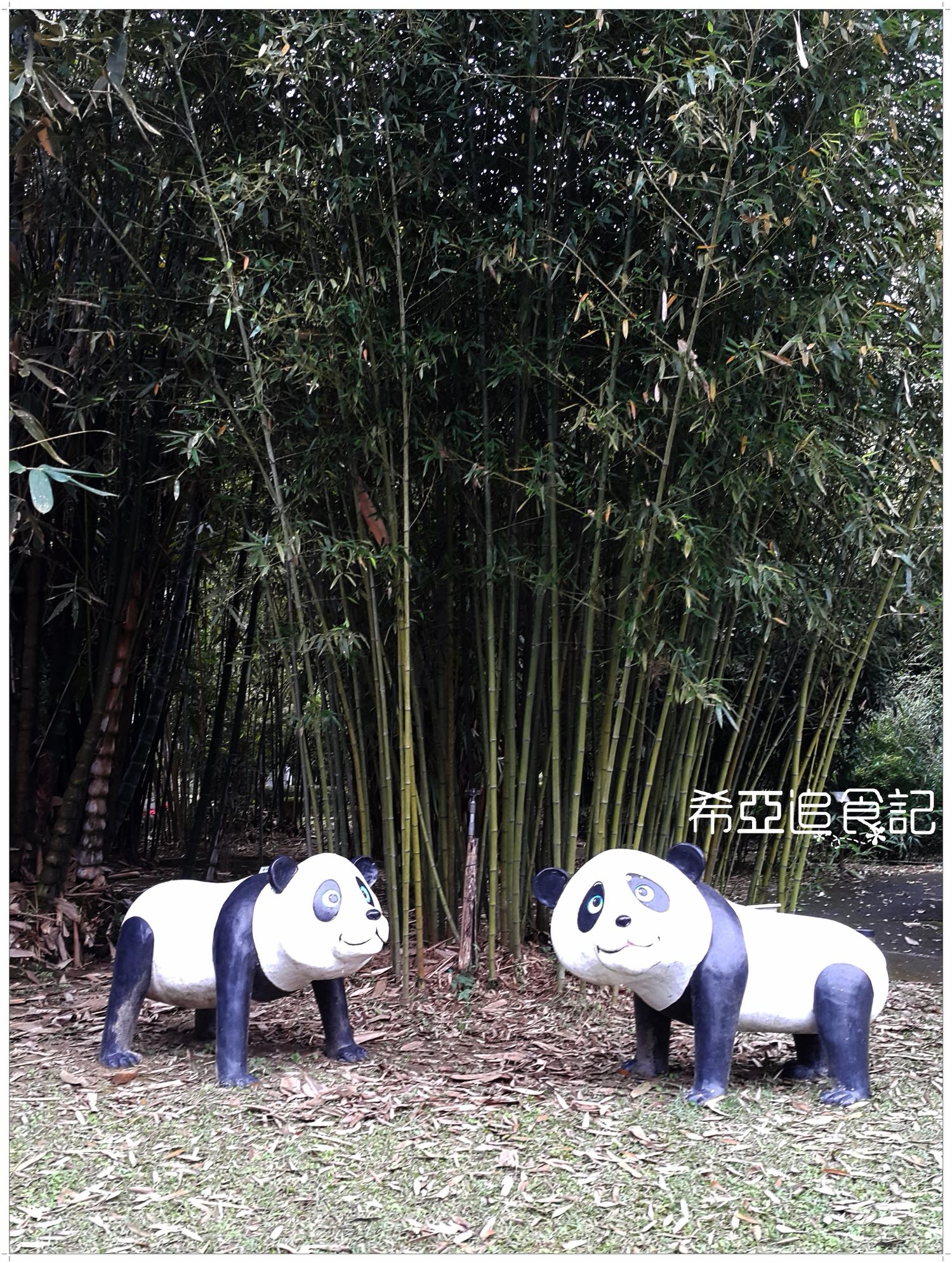 南投旅遊推薦 竹山景點 青竹文化園區