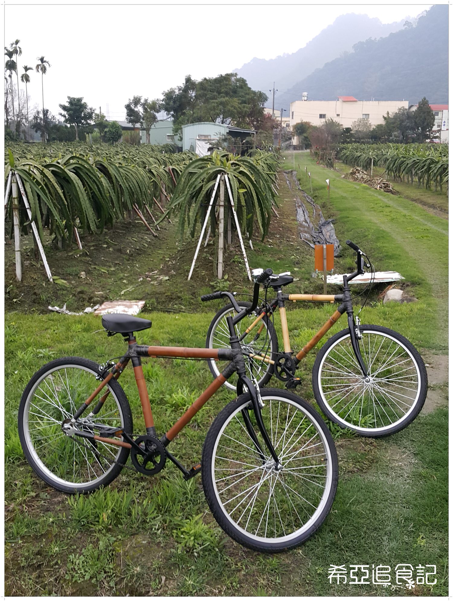 南投旅遊推薦 竹山景點 青竹文化園區