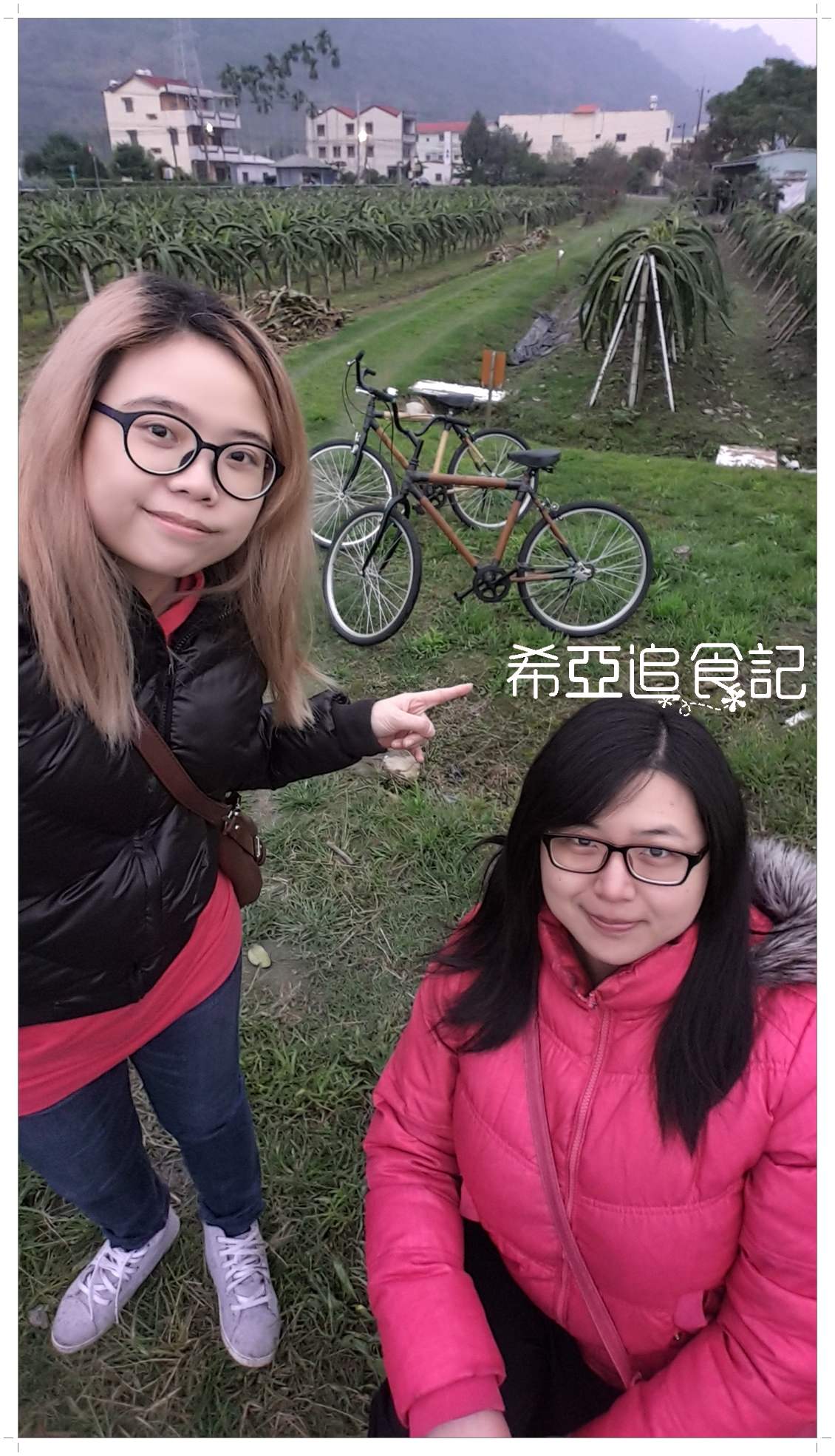 南投旅遊推薦 竹山景點 青竹文化園區