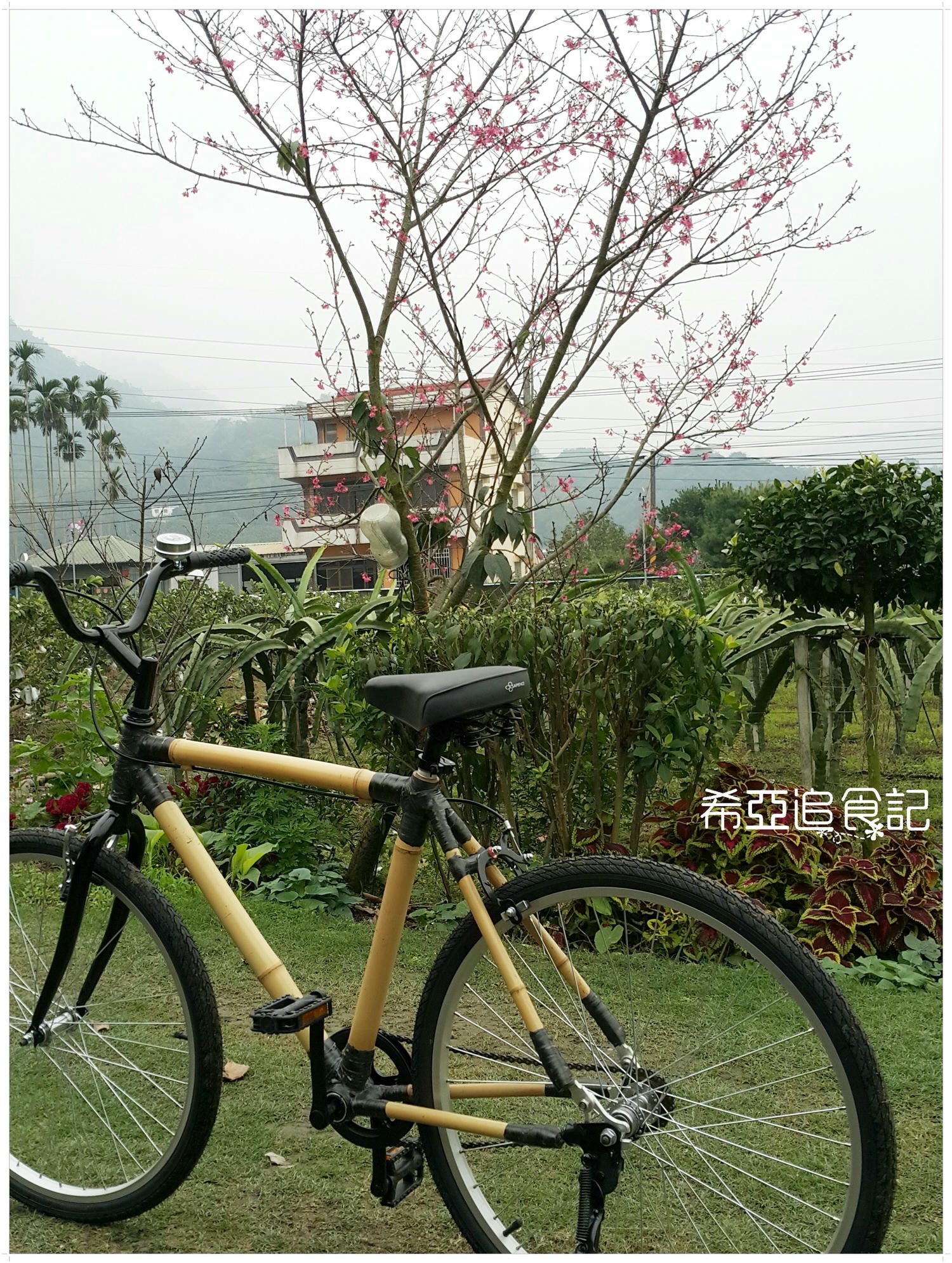 南投旅遊推薦 竹山景點 青竹文化園區