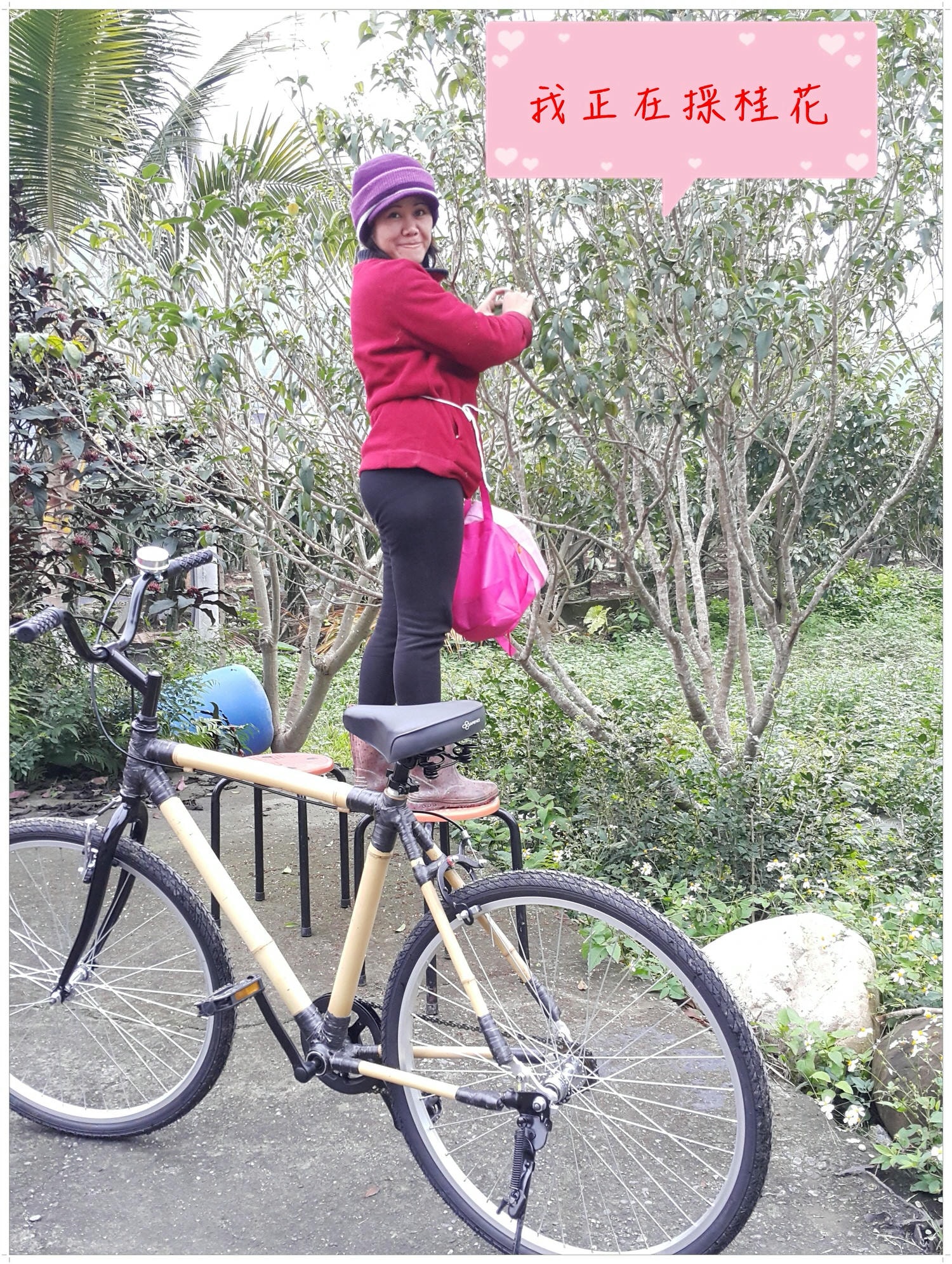 南投旅遊推薦 竹山景點 青竹文化園區