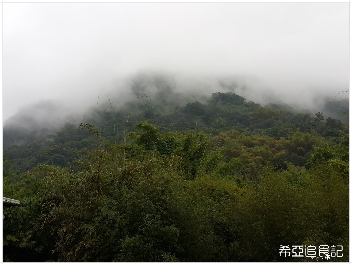 南投旅遊推薦 竹山景點 青竹文化園區