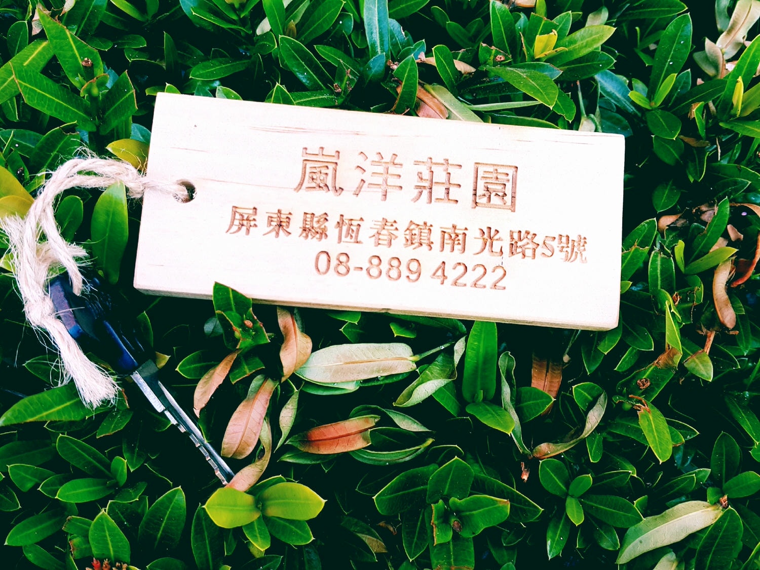 【屏東墾丁浮潛/住宿推薦】夏天到了 該來墾丁玩水去 慢活輕旅行 の 嵐洋莊園民宿 & 水到魚行浮潛館 & 好樂.杯冰 (屏東/恆春) - 第5張圖 墾丁 旅遊 景點 推薦