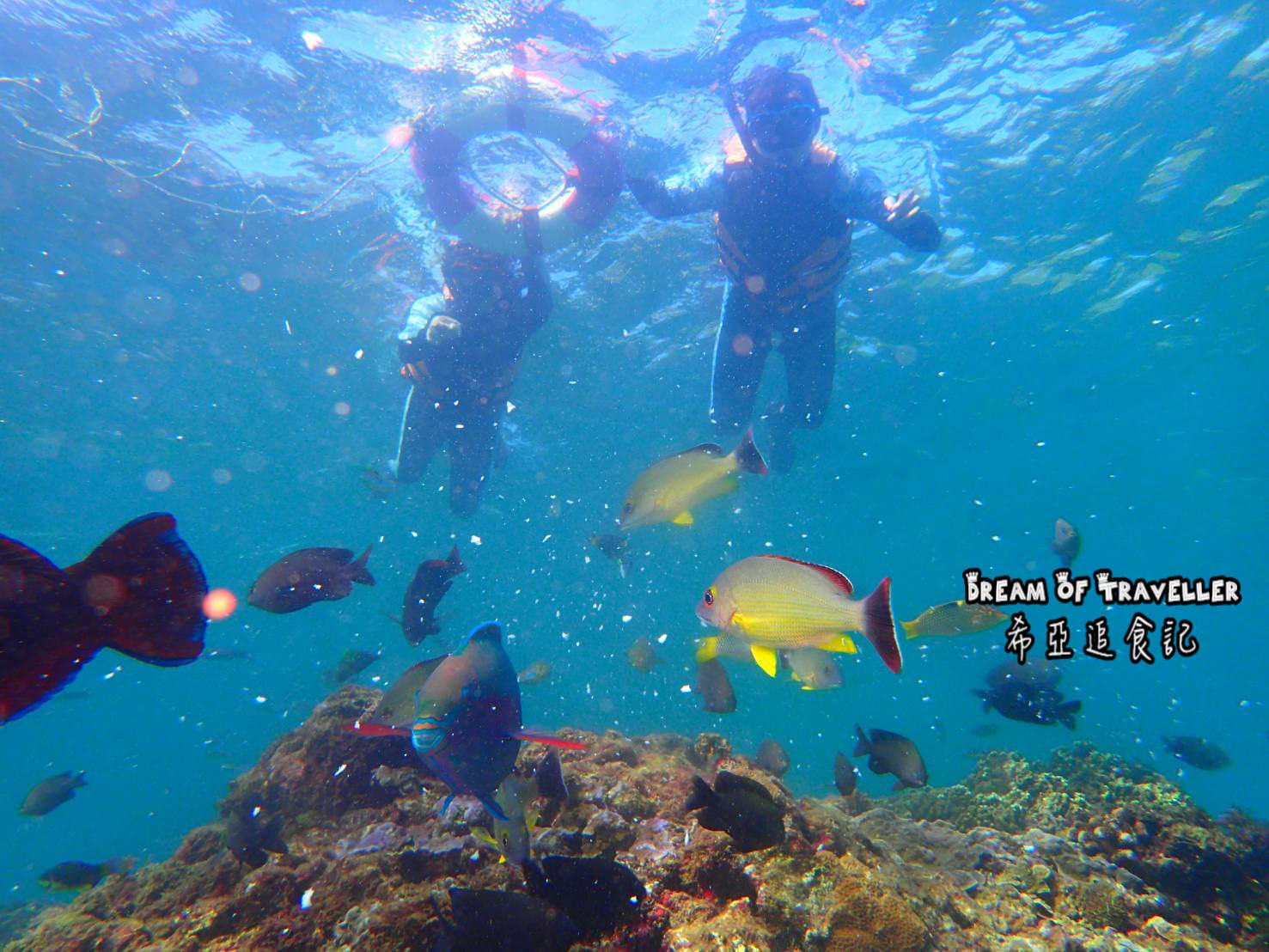 【屏東墾丁浮潛/住宿推薦】夏天到了 該來墾丁玩水去 慢活輕旅行 の 嵐洋莊園民宿 & 水到魚行浮潛館 & 好樂.杯冰 (屏東/恆春) - 第13張圖 墾丁 旅遊 景點 推薦