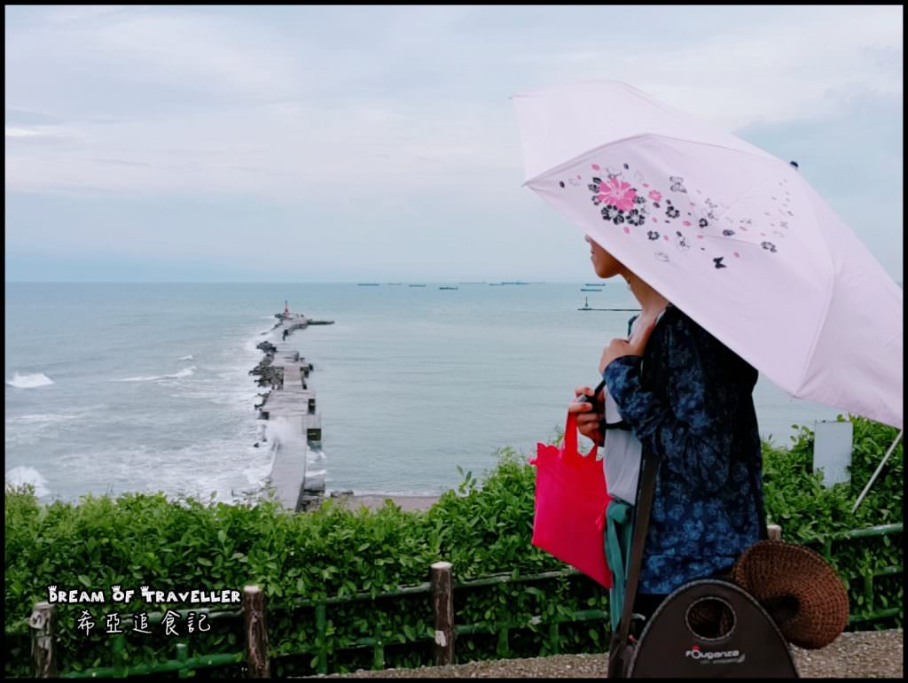 雨傘家族 《Diana》台灣文創繽紛花語遮光降溫三折傘 14