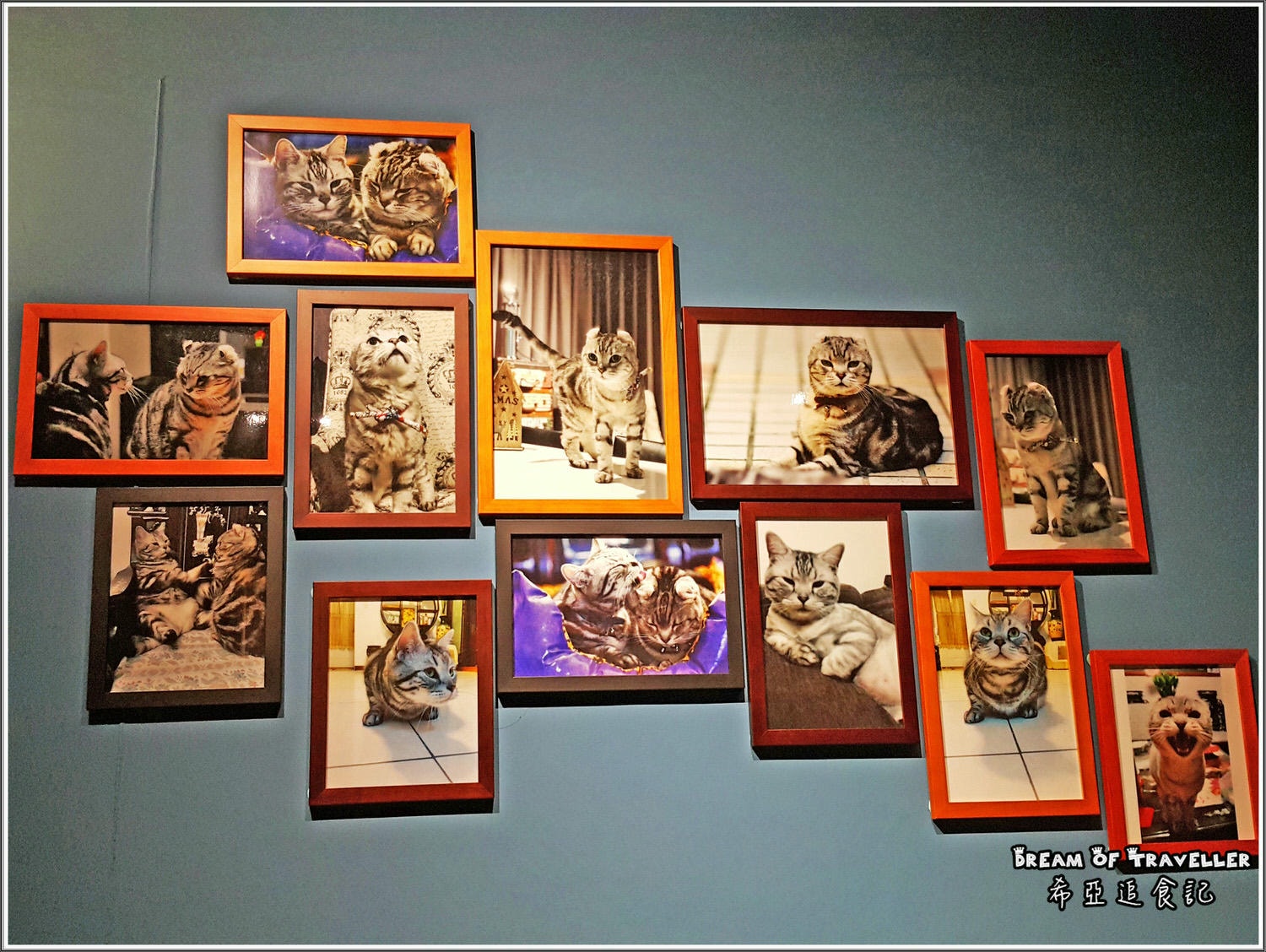 【義大利麵/燉飯分享】 醬好義式廚房 の 奶油蘆筍野菇燉飯 & 松子羅勒鮮蔬義大利麵 & 香蒜野菇鮮蔬義大利麵 (台中/東區) ➽ 台中義式餐廳 現點現作新鮮又美味的義式料理 – memecoins店家體驗 - 第4張圖 醬好義式廚房