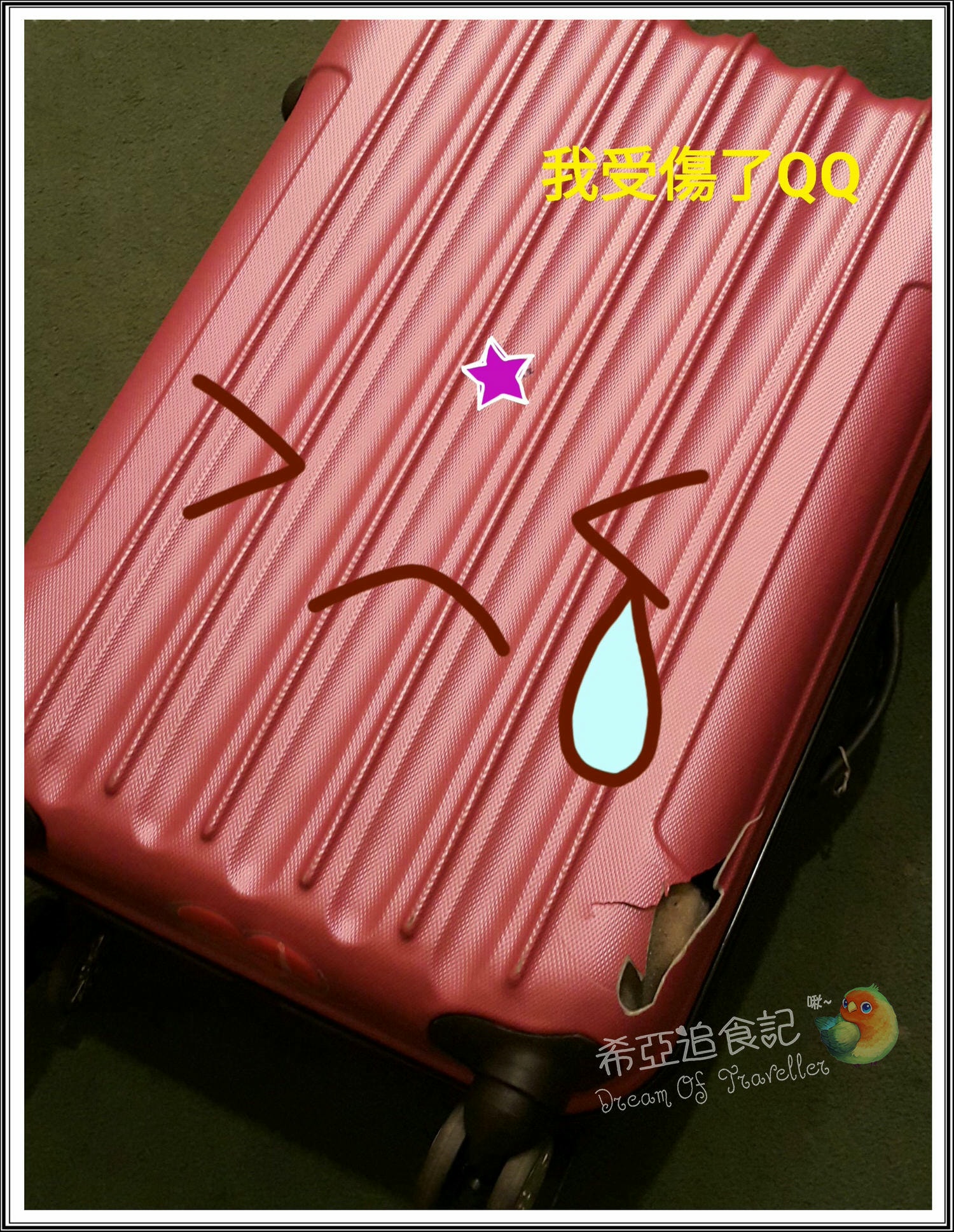 日本北陸 立山黑部