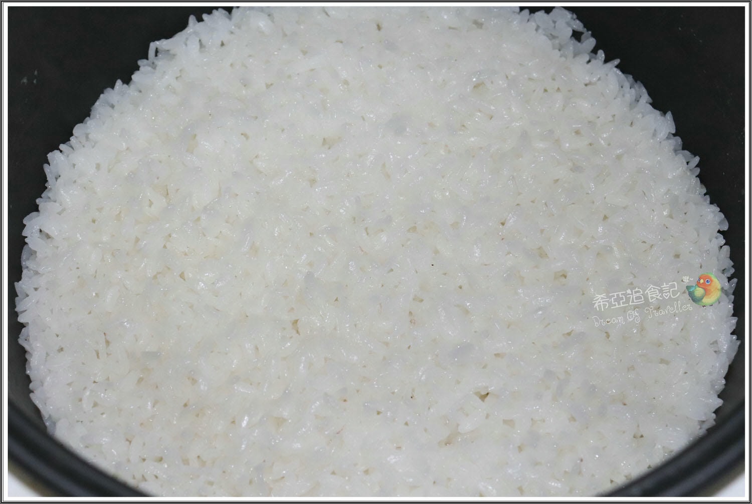 白米、糙米推薦