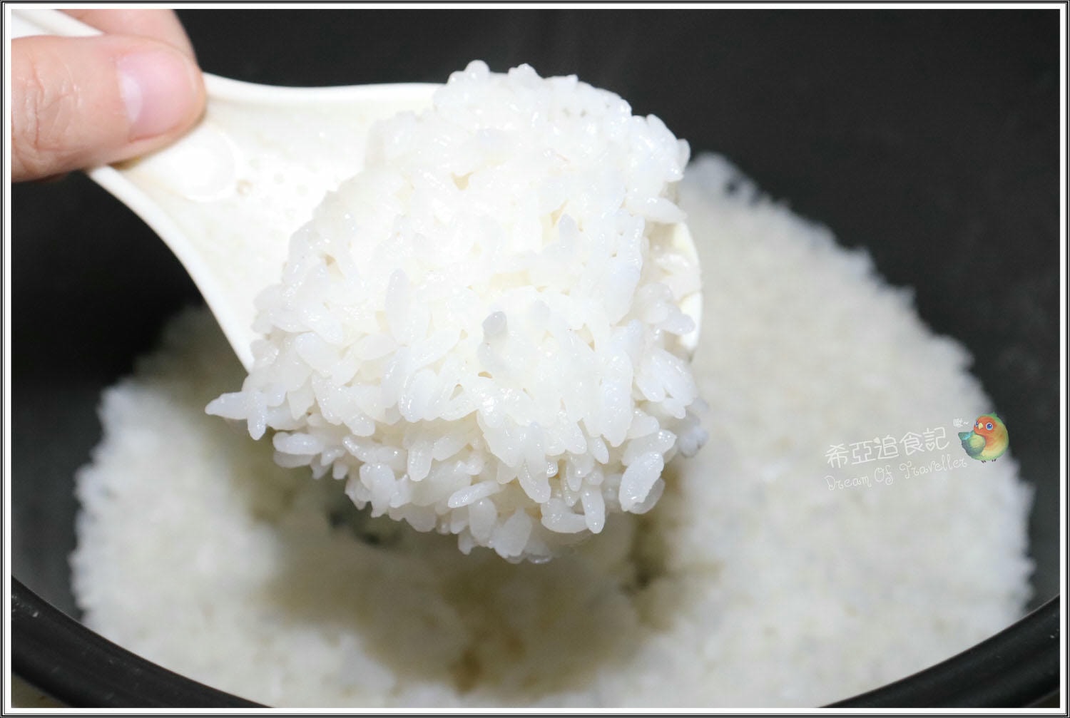 【有機米推薦】天天里仁 の 銀川有機長秈糙米 & 銀川有機白米 & 五殼粉 & 古早味炸醬 ➽ 里仁一系列營養價值滿分的米食系列，吃的營養又健康！ – 蛋奶素