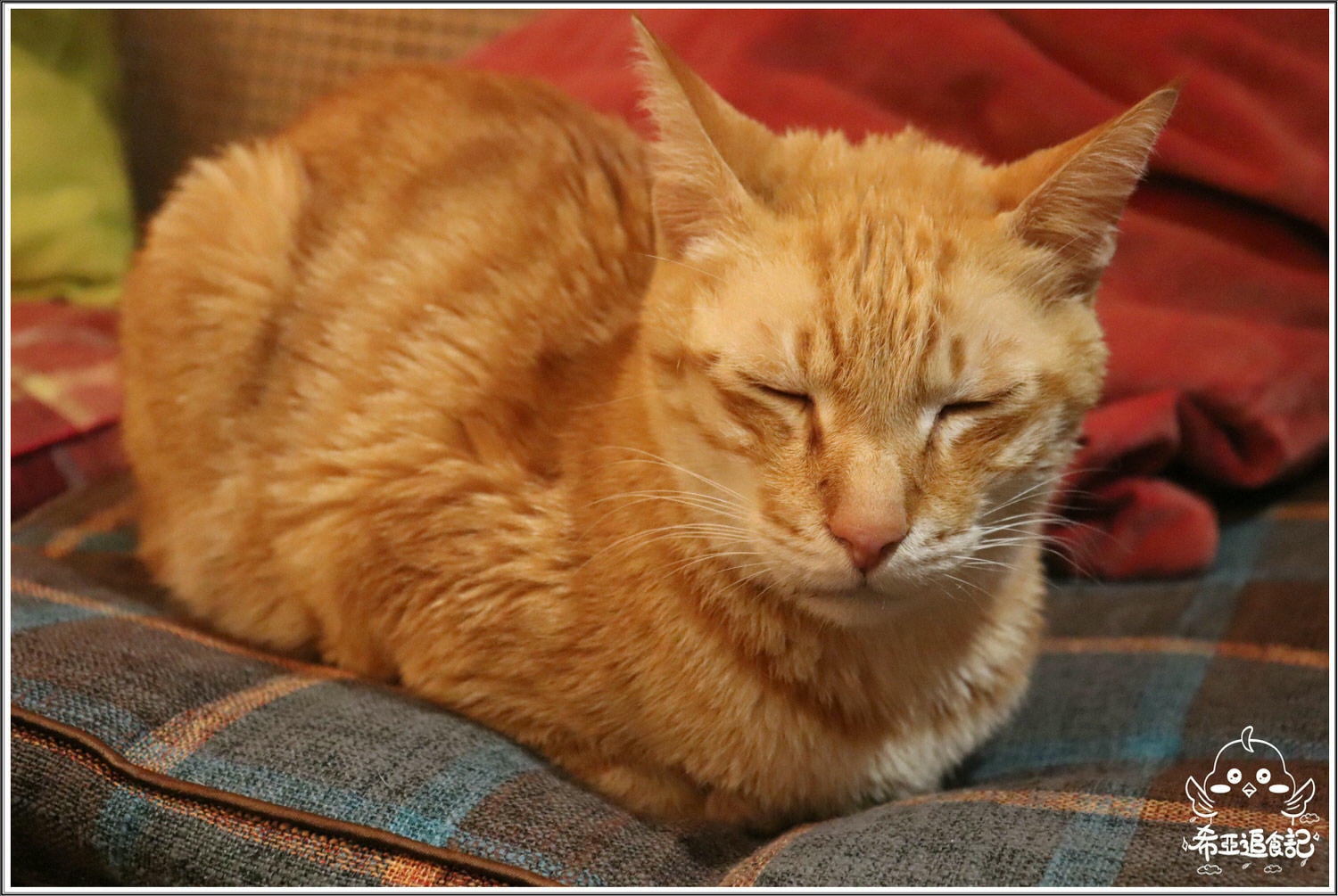 【台中異國餐館推薦】沐沐任性/餐酒/分享空間 の 蔬菜野菇義大利麵 & 天菜 & 你是我的菜 & 檸檬草的味道 & 十分鐘的戀愛  ➽ 異國風餐館，聚會變得超有氣氛 – 五辛素