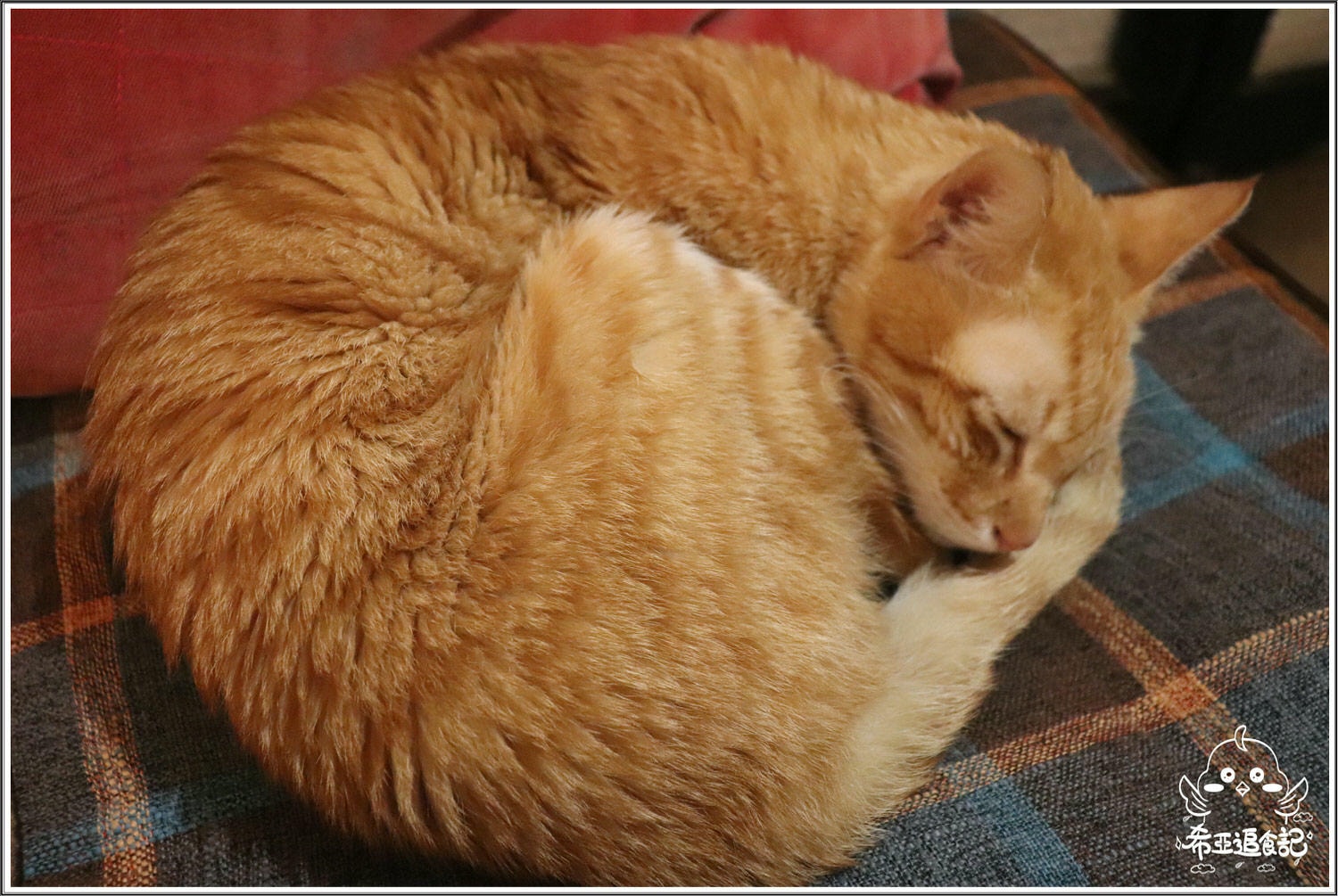 【台中異國餐館推薦】沐沐任性/餐酒/分享空間 の 蔬菜野菇義大利麵 & 天菜 & 你是我的菜 & 檸檬草的味道 & 十分鐘的戀愛  ➽ 異國風餐館，聚會變得超有氣氛 – 五辛素