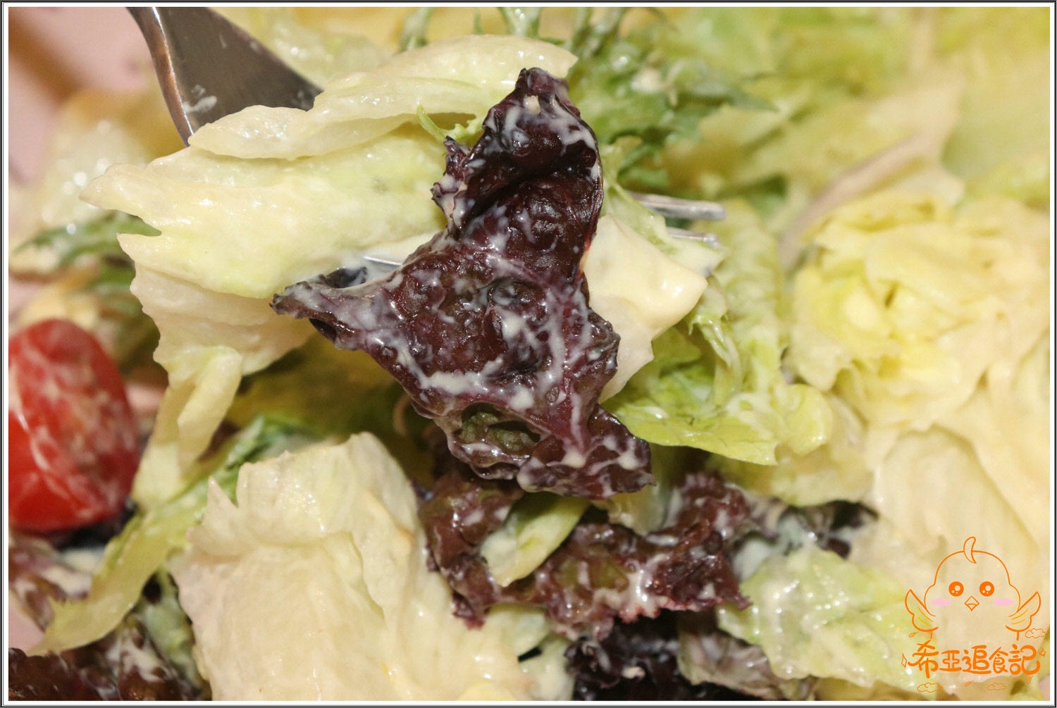 【台中大里餐廳推薦】猴子披薩 の 雙人套餐(太陽下雪地裡的粉紅豬、貝斯勤蜂蜜芥茉雞肉義式燉飯) & 九龍城港式凍檸燒鵝 (台中/大里區) ➽ 聚餐好地點，氣氛佳，套餐系列CP值超高