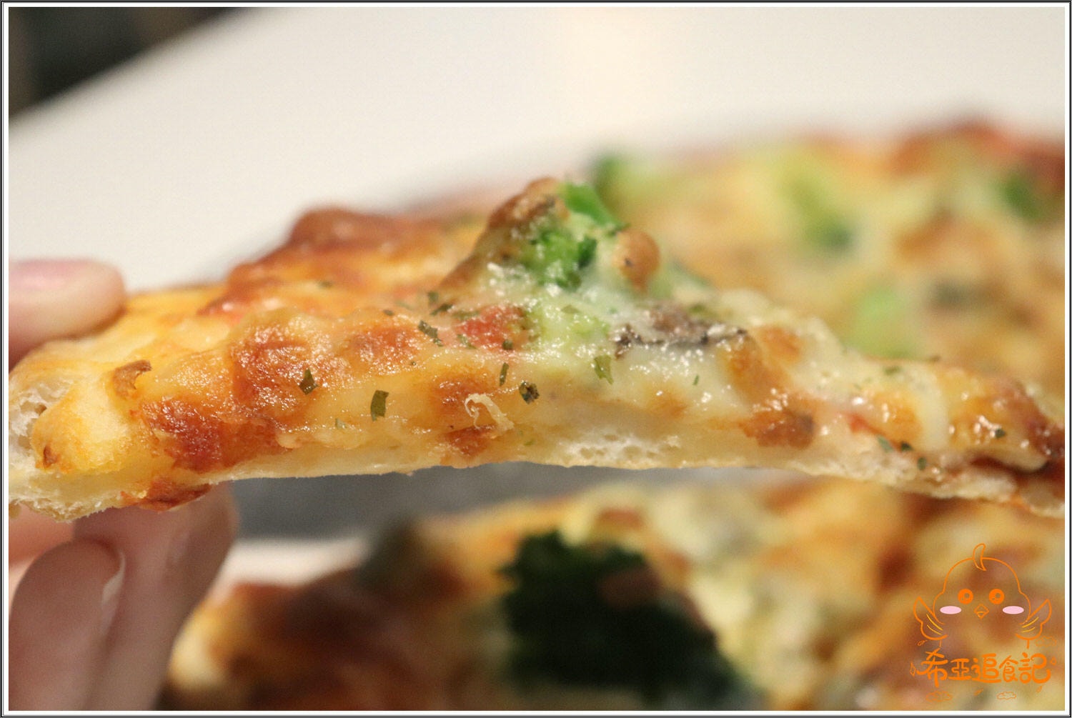 【燉飯/披薩分享】 野菜共合國 の 田園蔬菜芝士披薩 & 蕃茄野菇蘆筍燉飯 (台中/西區) ➽ 台中素食義式料理餐廳，當日濃湯無敵爆好喝  – 素食